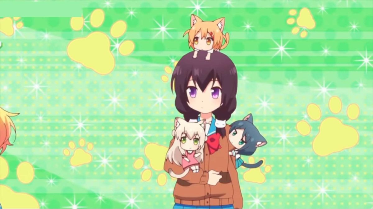 Will Nyanko Days Season 2 Release? What's the Possibility?